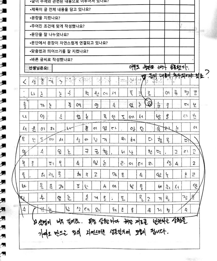 초등 6학년 학생이 원고지에 쓴 글